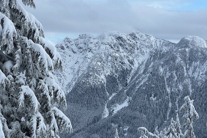 Grouse Mountain Snowshoeing Adventure with Scenic Skyride - An In-Depth Look at the Grouse Mountain Snowshoeing Adventure