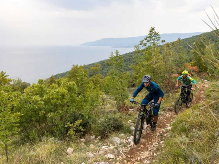 GrožNjan, Rabac: Bike Tour With Honey & Truffle Tasting - Tour Overview