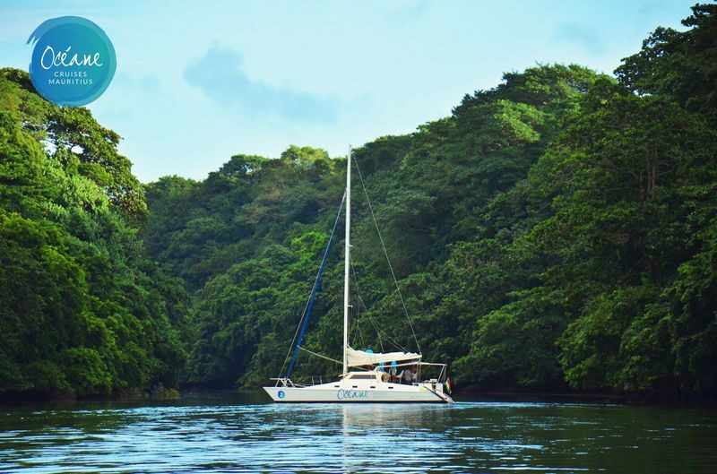 GRSE Waterfall & Ile aux Cerfs One-day Snorkeling & Catamaran Tour - Snorkeling and sailing by catamaran