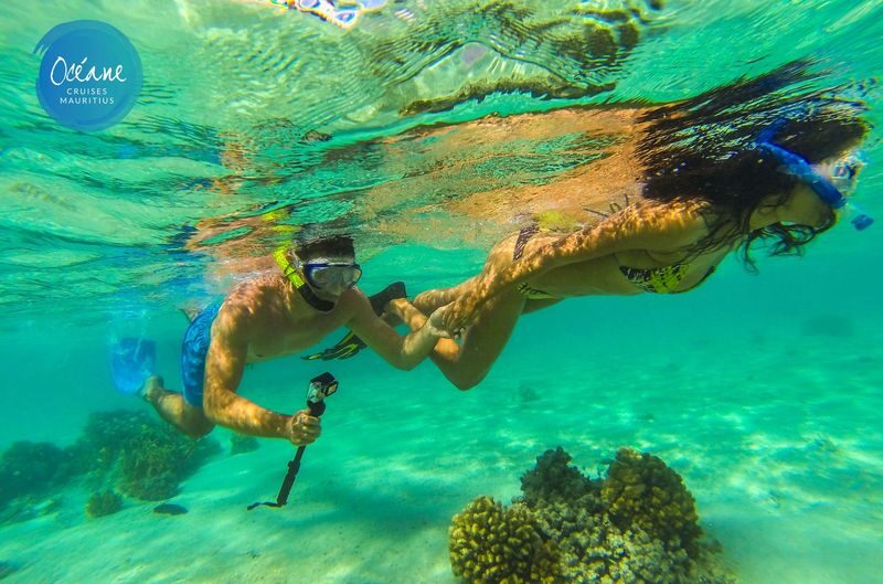 GRSE Waterfall & Ile aux Cerfs One-day Snorkeling & Catamaran Tour - Booking details worth confirming