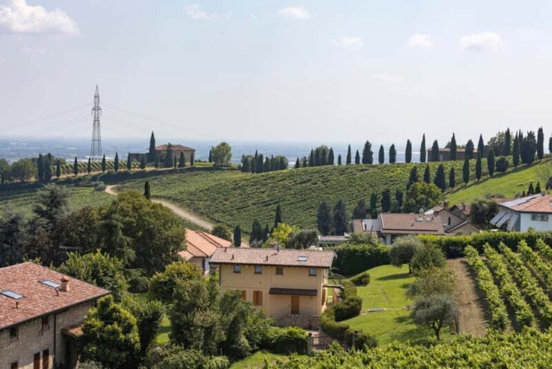 Grumello: Wine Tasting Tour at Historic Family Winery - An Authentic Peek into Lombardy’s Winemaking Heritage