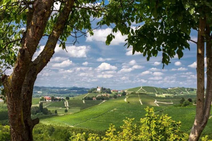 Gruyere Village - Itinerary Details