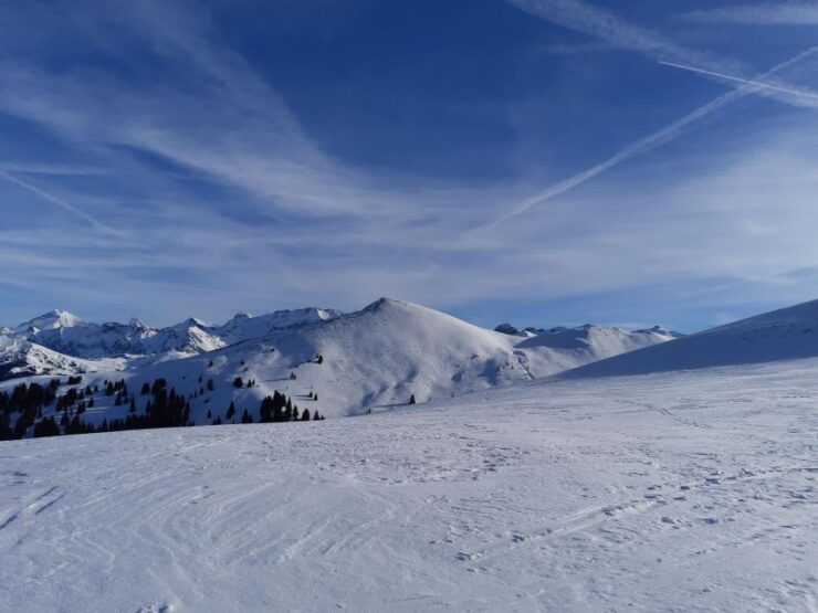 Gstaad: Avalanche Workshop for Snowshoe Tours - Activity Details