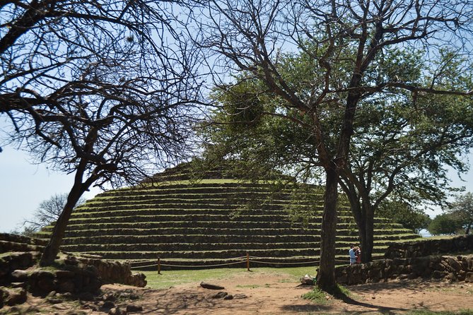 Guachimontones Archaeological Tour - Positive Feedback on the Tour