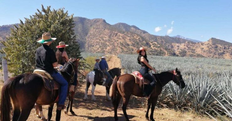 Guadalajara: Horse Riding on the Tequila Route With Tastings - Tour Booking Details