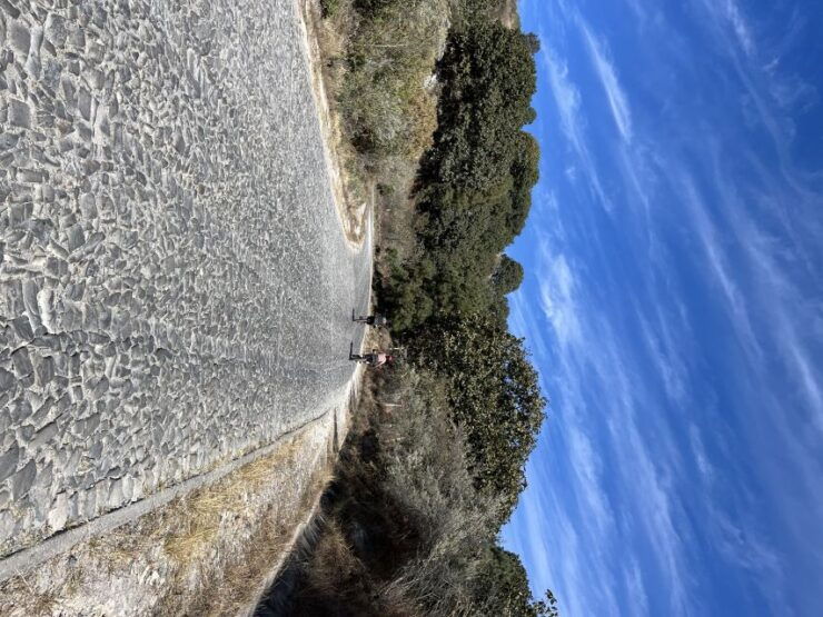 Guadalajara: La Primavera Forest 25-km Mountain Biking Tour - Booking Details