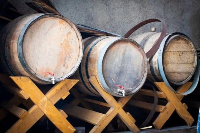 Guadalajara: Lake Chapala and Ajijic Tour - Tequila Distillery Visit