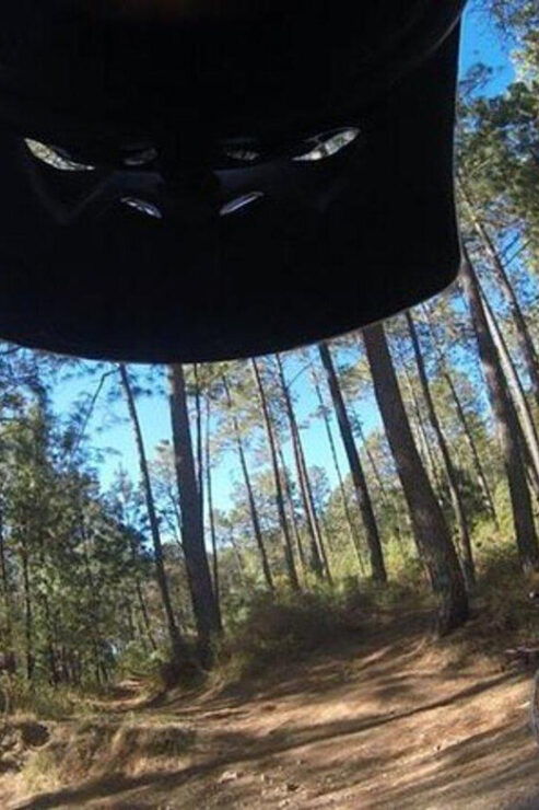 Guadalajara: Mountain Bike Tour in La Primavera Park - Pricing and Booking
