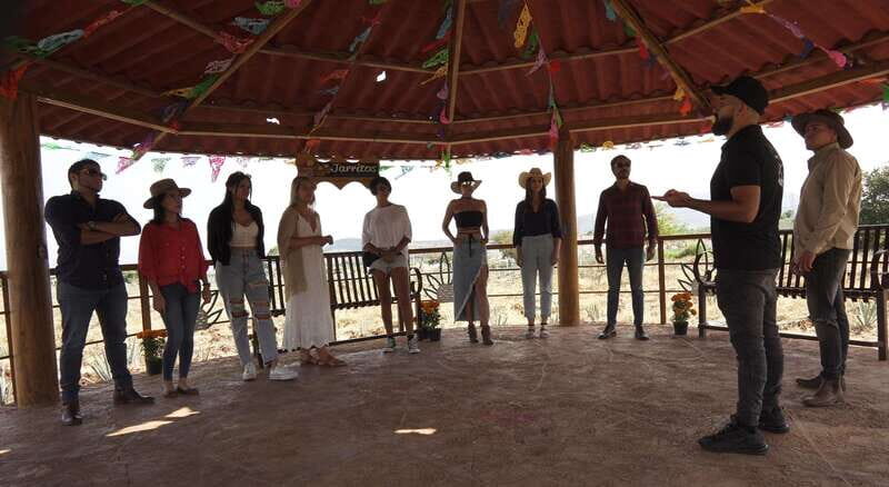 Guadalajara: Premium Tequila Tour with Tastings and Pairings - An Authentic Day of Tequila and Culture