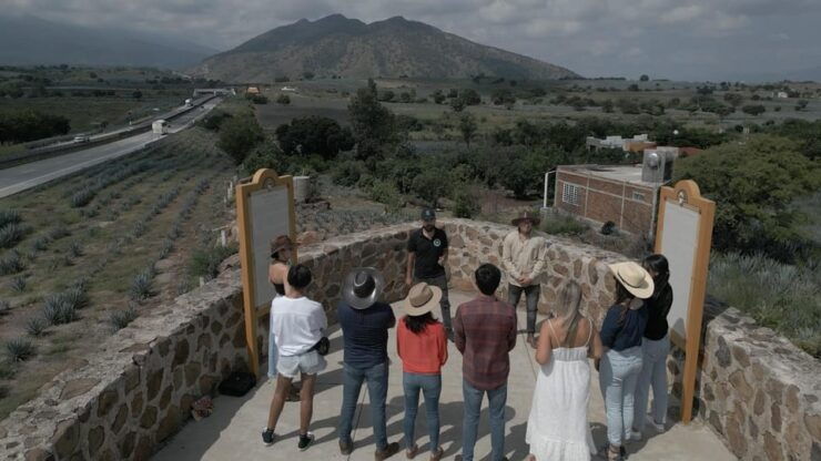 Guadalajara: Premium Tequila Tour With Tastings and Pairings - Itinerary Highlights