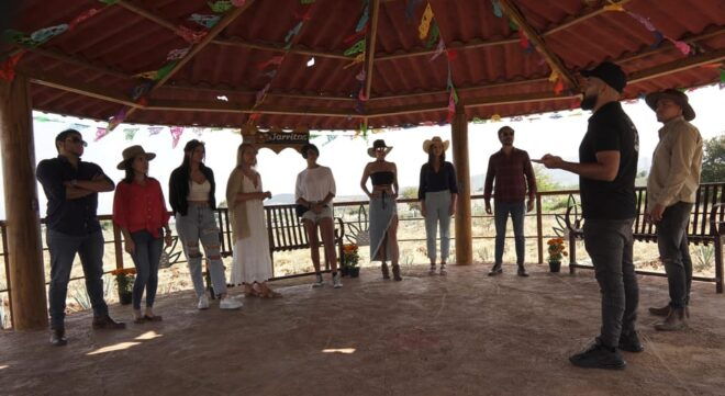 Guadalajara: Premium Tequila Tour With Tastings and Pairings - Experience and Reviews