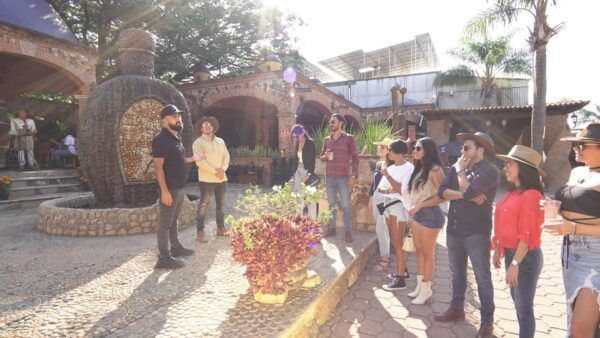Guadalajara: Premium Tequila Tour With Tastings and Pairings - Meeting Point and Departure Time