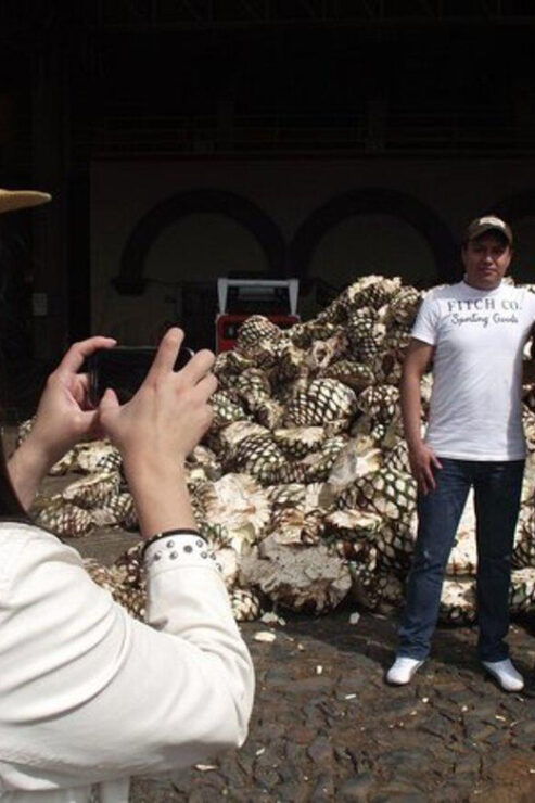 Guadalajara: Tequila and Hacienda San Jose Del Refugio Tour - Itinerary Highlights