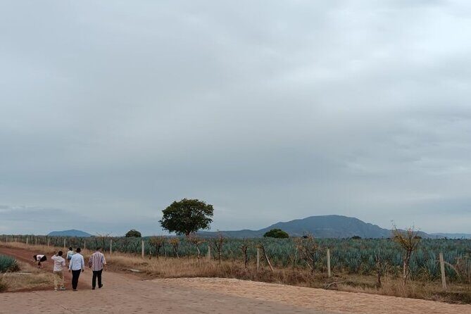 Guadalajara Tequila Tastings Tour - Final Verdict