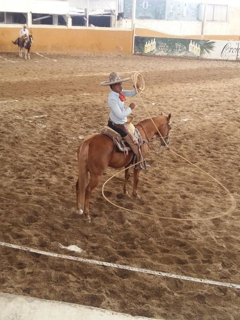 Guadalajara Tour and Charreria Show (Mexican Cowboys Show) - Experience Highlights