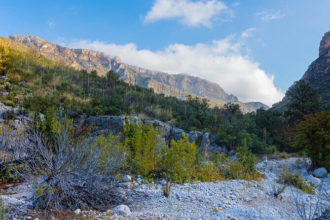 Guadalupe Mountains National Park Self Guided Audio Tour - FAQ