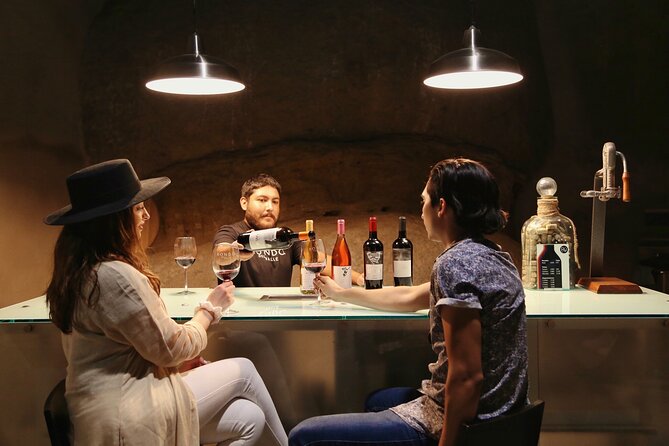 Guadalupe Valley, Ensenada, VIP Wine Tasting - Guided Tour and Wine Production Process