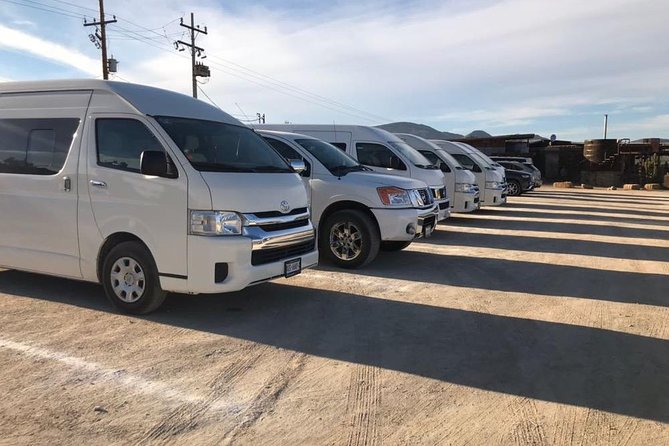 Guadalupe Valley Private Driver Tour - Winery Tour Experience