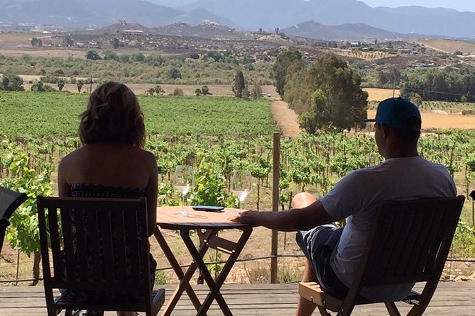 Guadalupe Valley Wine Route Tour in Baja California - Tour Organization and Guides Feedback