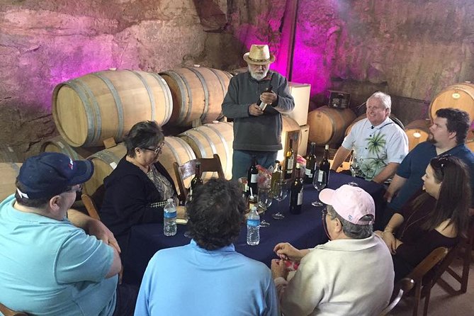 Guadalupe Valley Wine Route Tour in Baja California - Highlights of the Tour