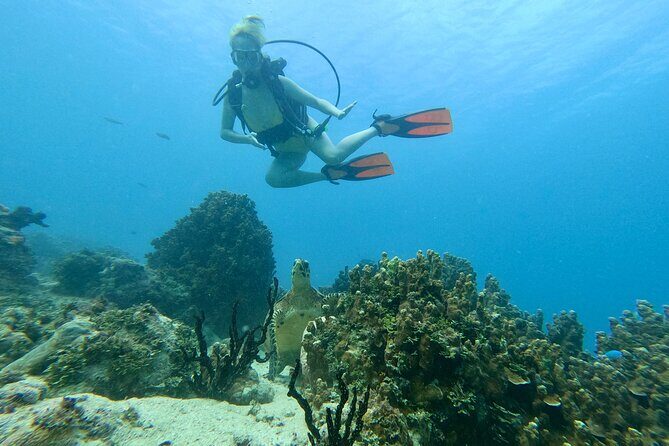 Guam's Best Beach Diving! Beginner and Advanced Dives - Practical Details: Pricing, Duration, and Transportation