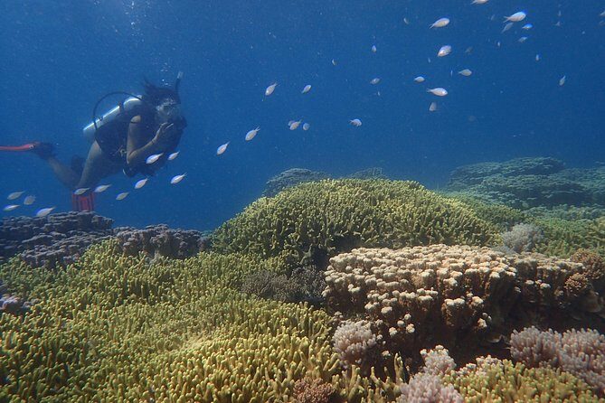 Guam's Best Beach Diving! Beginner and Advanced Dives - Who Will Love This Experience?