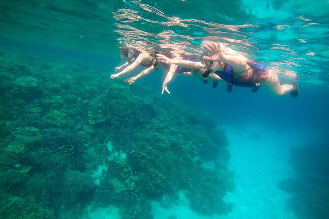 Guam's Private 5 Star Guided Snorkeling Tour! - Good To Know