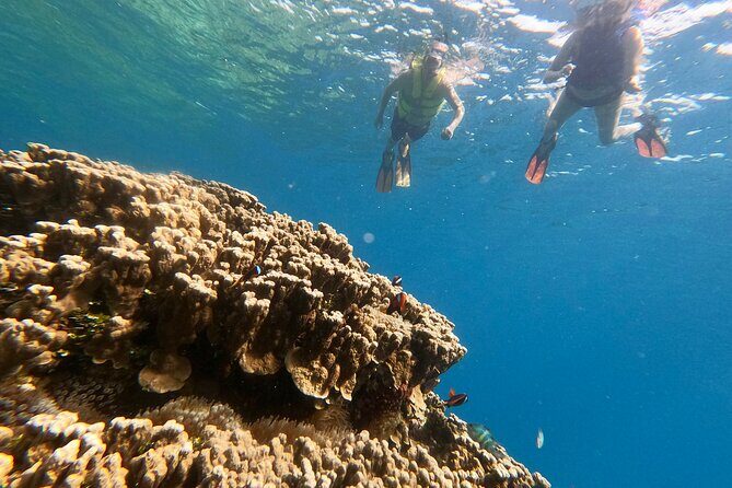 Guam's Private 5 Star Guided Snorkeling Tour! - The Itinerary – What to Expect from Start to Finish