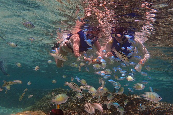 Guam's Private 5 Star Guided Snorkeling Tour! - Comfort & Convenience at the Site