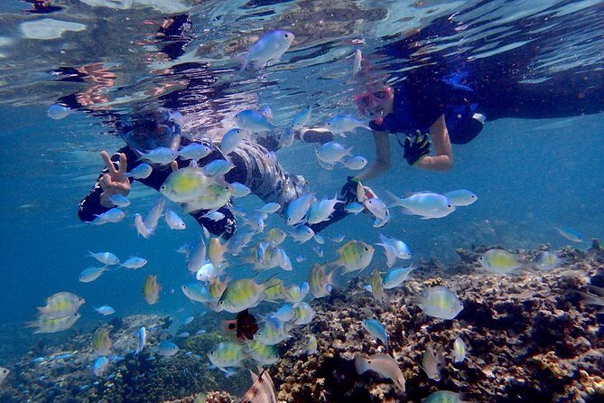 Guam's Private 5 Star Guided Snorkeling Tour! - Who Would Love This Tour?