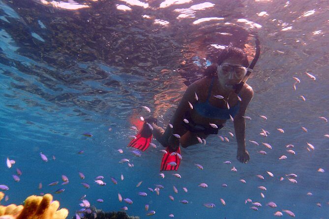 Guam's Private 5 Star Guided Snorkeling Tour! - Practical Tips for Your Snorkeling Trip