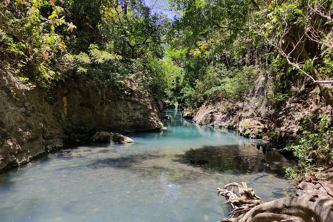 Guanacaste Hidden Waterfalls Private Day Tour With Lunch  - Playa Hermosa - Booking Process
