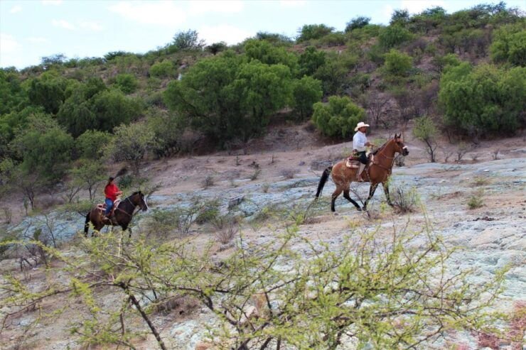 Guanajuato: Horse Ride Tour - Activity Details