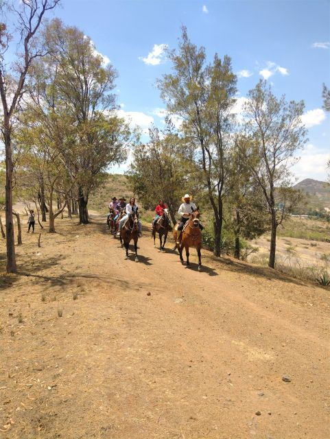 Guanajuato: Horse Ride Tour - Experience Highlights