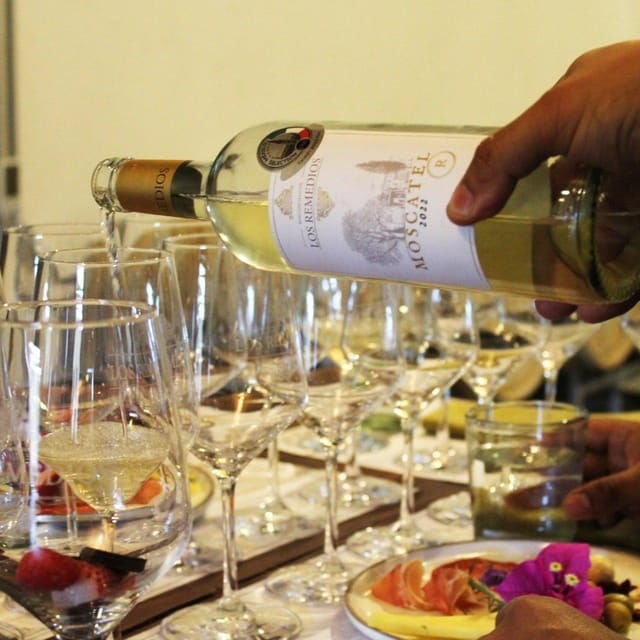 Guanajuato: Los Remedios Vineyard - Guided Tour of Wine Production