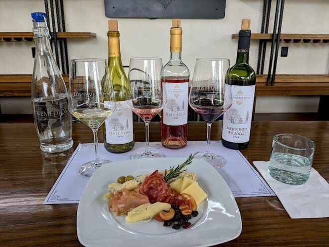 Guanajuato: Los Remedios Vineyard - Appreciating the Landscaped Gardens
