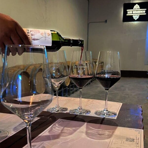 Guanajuato: Los Remedios Vineyard - Accessibility for All Guests