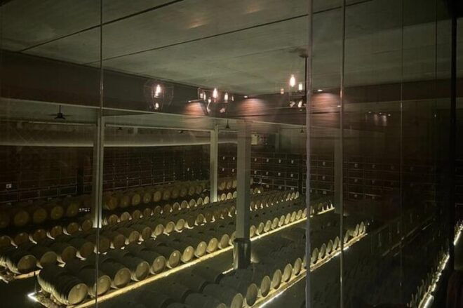 Guanajuato: Private Wine Route Tour With Tastings - Vineyard Visits