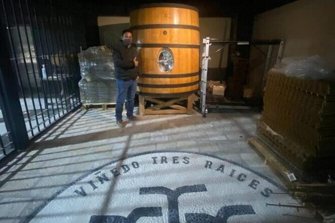 Guanajuato: Private Wine Route Tour With Tastings - Exquisite Wine Pairings