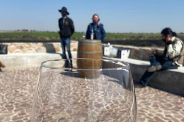 Guanajuato: Private Wine Route Tour With Tastings - Private Transportation