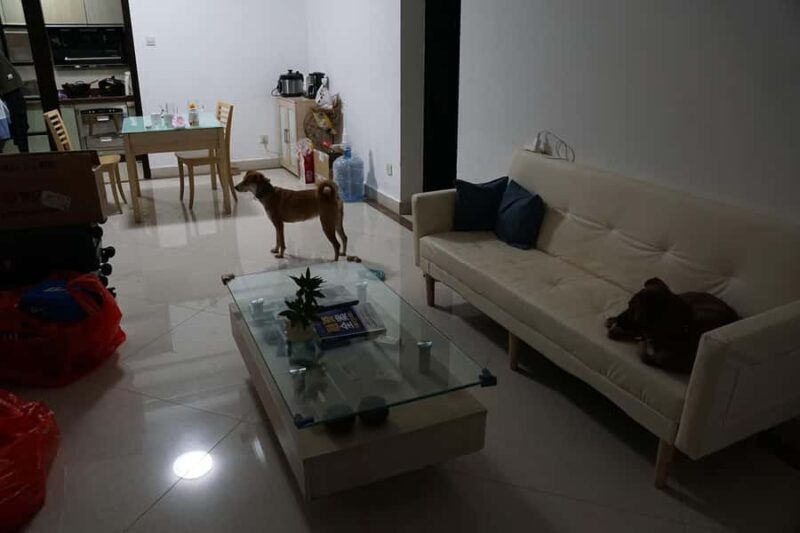 Guangzhou: 3-Day Local Experience with Host - Getting to Know Your 3-Day Experience