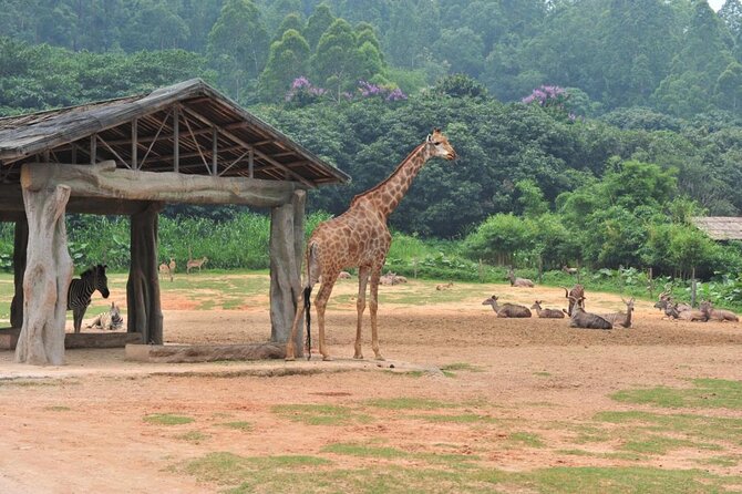 Guangzhou Chimelong Safari Park Private Guided Tour - Location