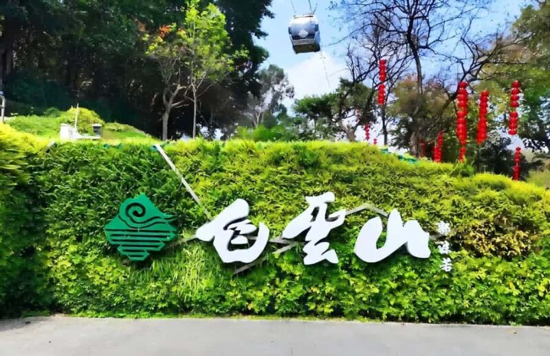 Guangzhou: City Highlights Tour with Lunch & Guide - Authentic Traveler Perspectives