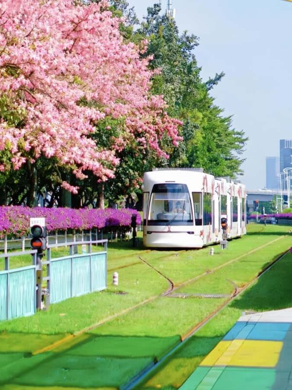 Guangzhou Day Tour: Trolley, Glass Museum & Night Cruise - Introduction