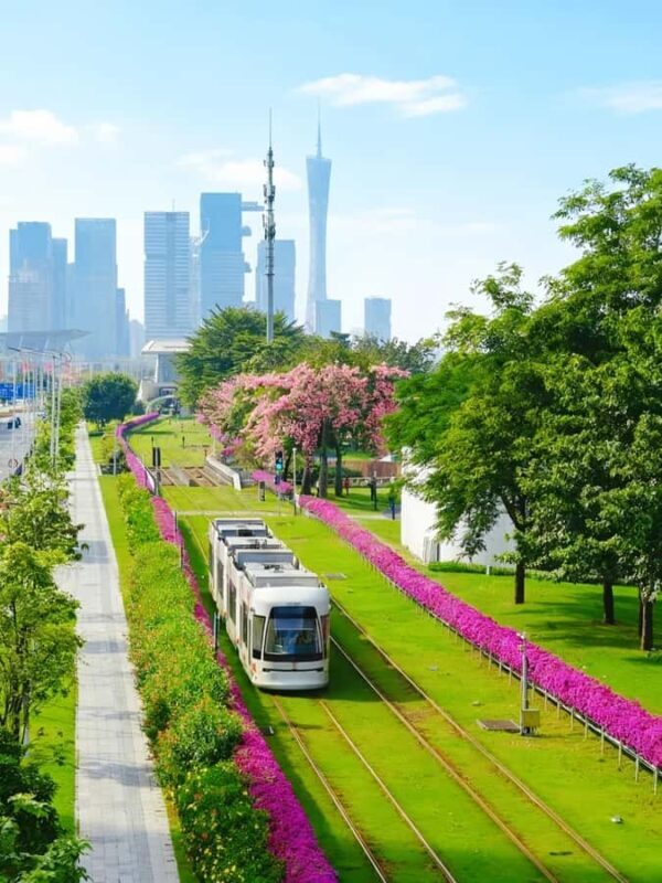 Guangzhou Day Tour: Trolley, Glass Museum & Night Cruise - FAQ