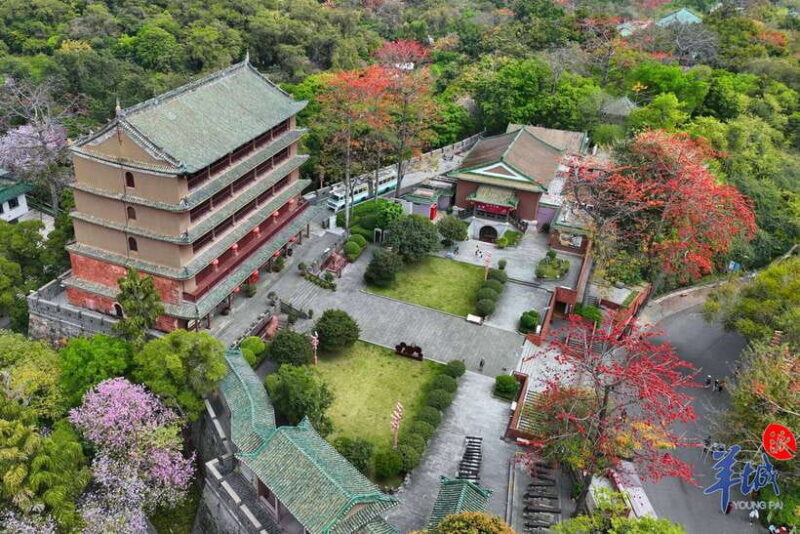 Guangzhou Full Day City Tour with Old and New Highlights - Who Should Consider This Tour?