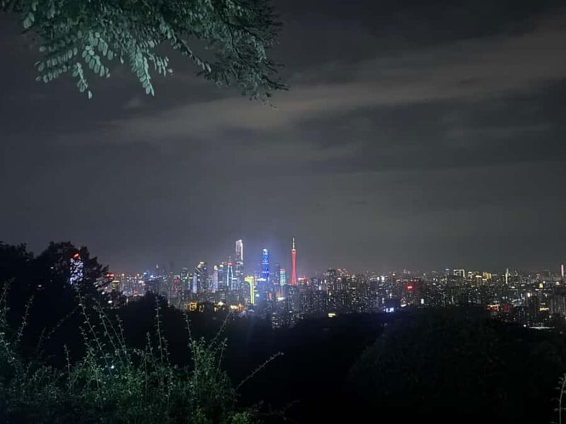 Guangzhou: Jade Market Private Tour and Guzheng Music Class - Exploring the Heart of Cantonese Culture