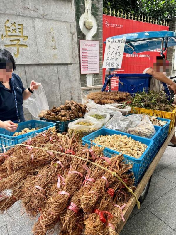 Guangzhou: Modernity, Markets, Tángshu, Temple & Sachet DIY - Concluding with a View of Canton Tower