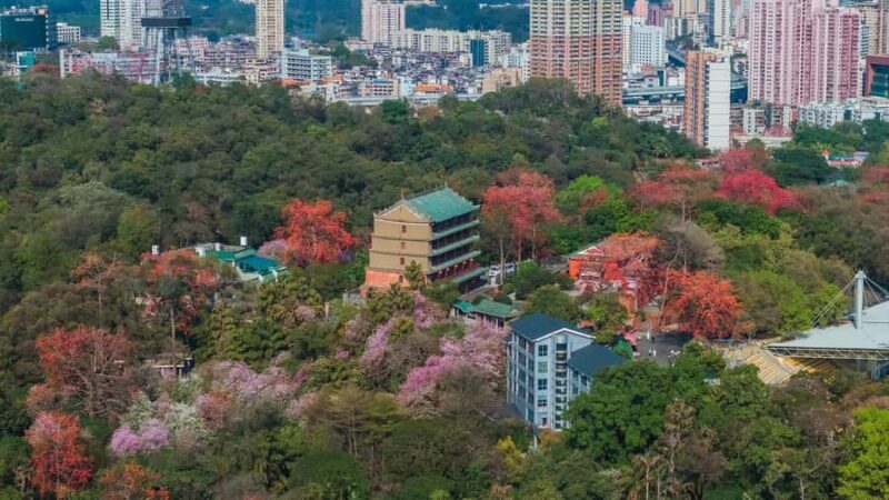 Guangzhou: Old & New City Tour with Pearl River Night Cruise - Who Should Do This Tour?  