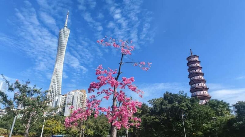 Guangzhou: Old & New City Tour with Pearl River Night Cruise - FAQ